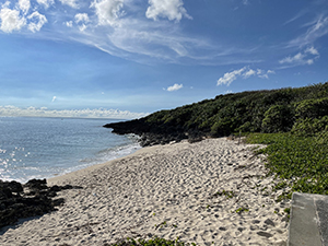 gay beach